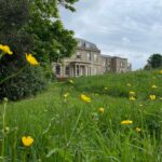 Beech House in Stapleton Village. Historic mansion house with grass and yellow buttercup flowers in the foreground