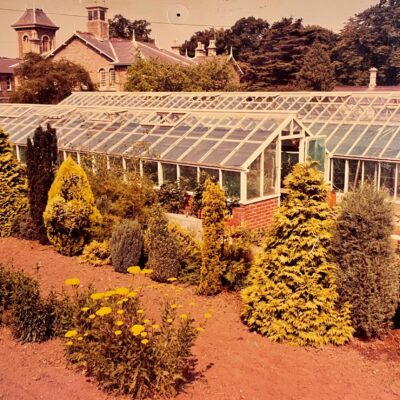 The greenhouses that once stood at Glenside Hospital