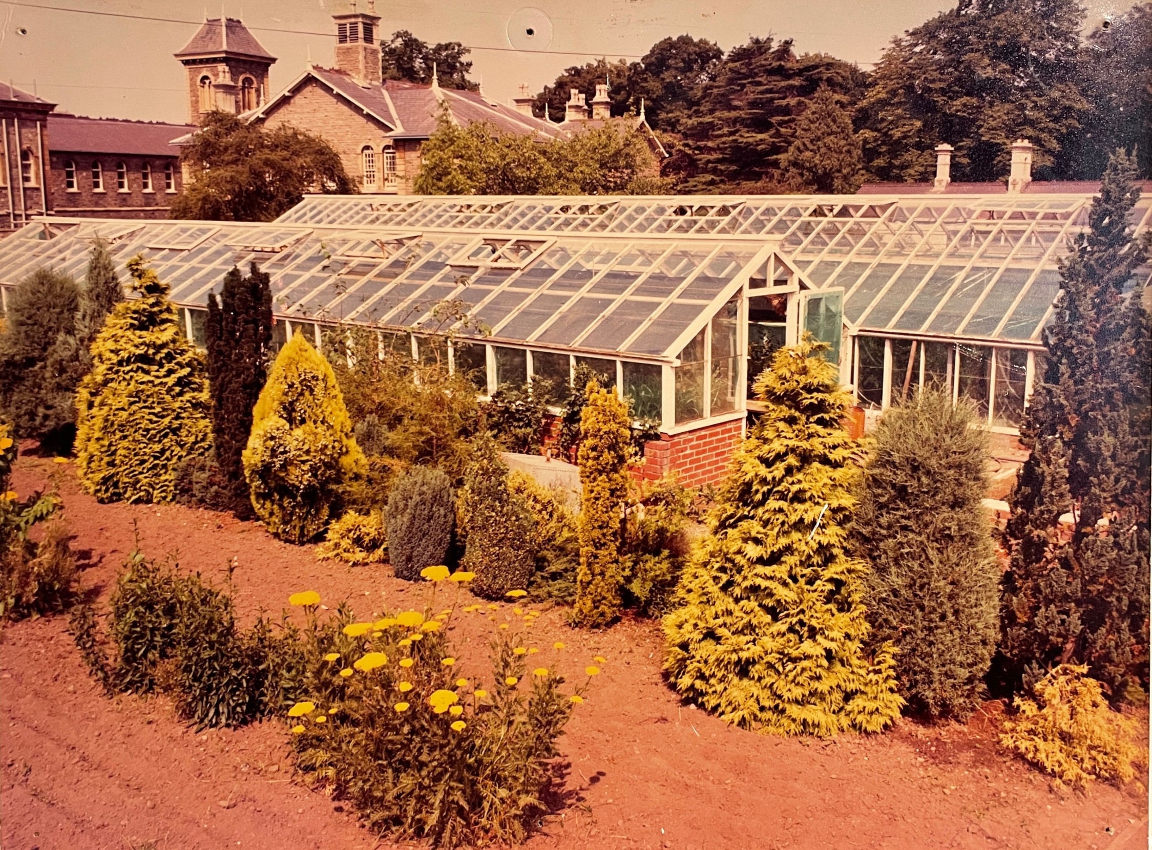 The greenhouses that once stood at Glenside Hospital