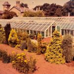 Historic green houses at Glenside Hospital