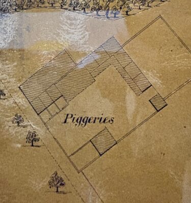 Piggeries shown on an early 1900s map of Bristol Lunatic Asylum, later Glenside Hospital and adjoining land in Stapleton