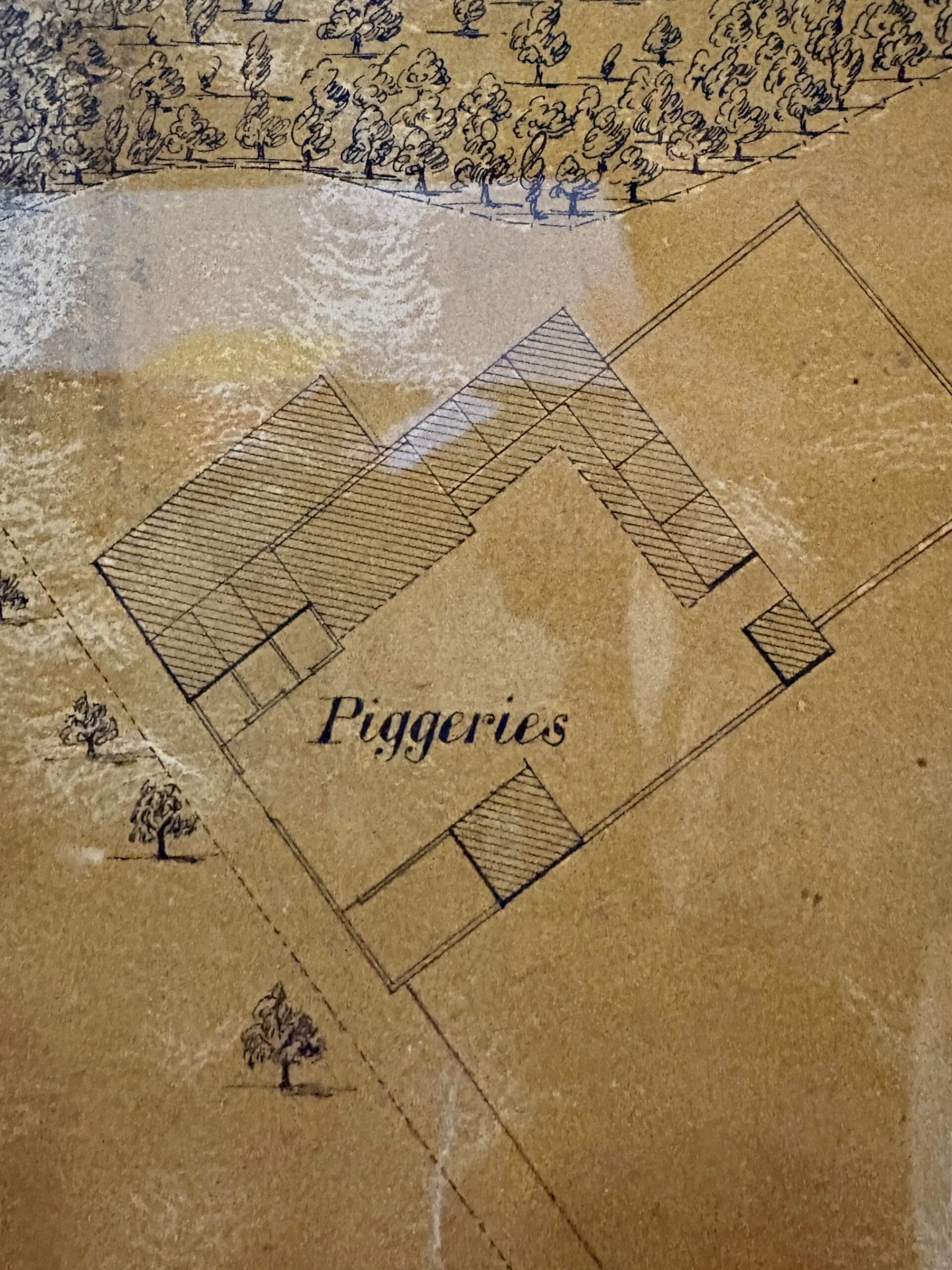 Piggeries shown on an early 1900s map of Bristol Lunatic Asylum, later Glenside Hospital and adjoining land in Stapleton