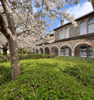 Architecture and architectural details at former Glenside Hospital in Fishponds, Bristol. Shown among spring blossom trees during a walking tour trail